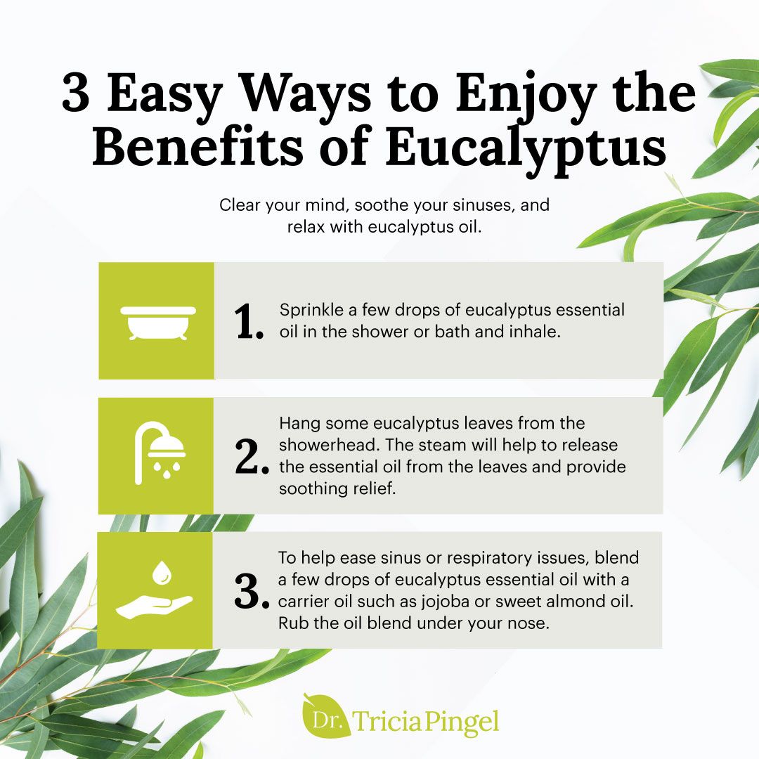 Eucalyptus oil essential benefits uses oils health properties skin used cancer anti does australia benefit doterra their promoting even living