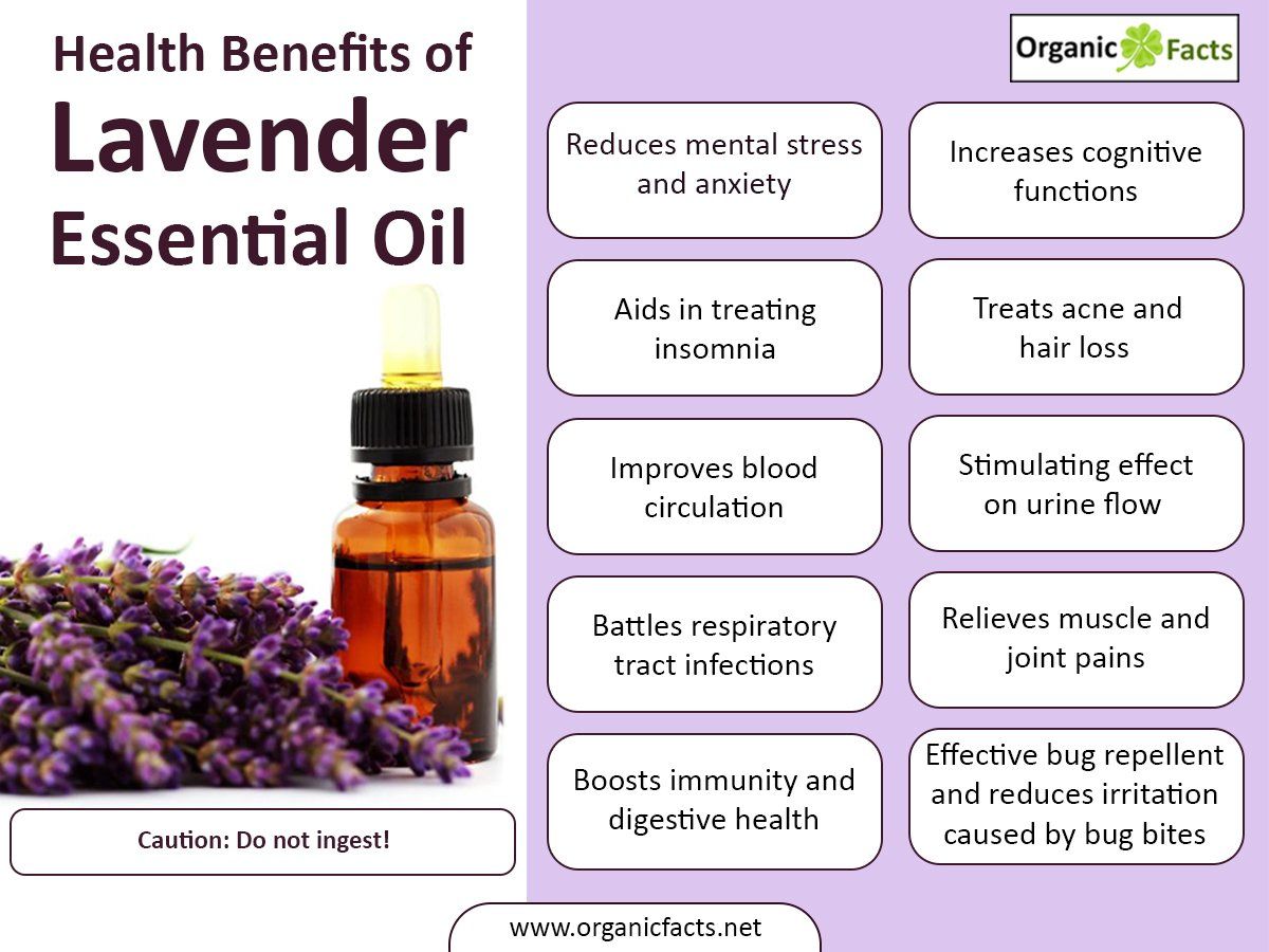 Lavender oil essential benefits oils health uses organic facts properties good surprising aromatherapy skin list effects blood repellent use their