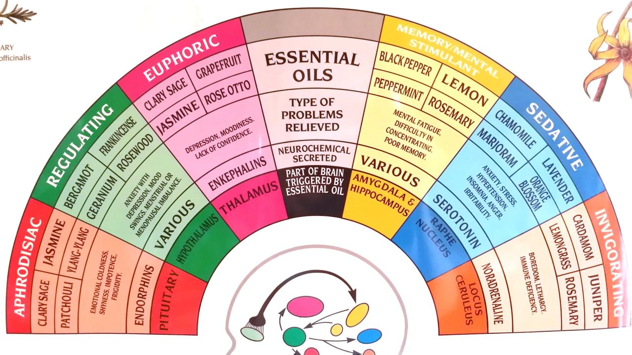 Aromatherapy chart essential oil oils massage shirley price pdf