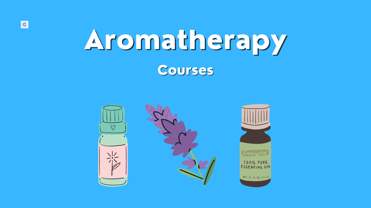Oil aroma aromatherapy online credits